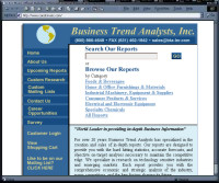 Business Trend Analysts